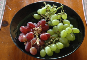 grapes.jpg